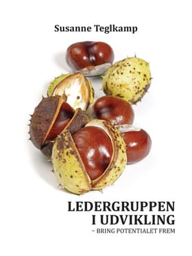 Ledergruppen i udvikling af Susanne Teglkamp