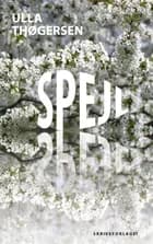 Spejl