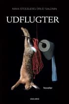 Udflugter