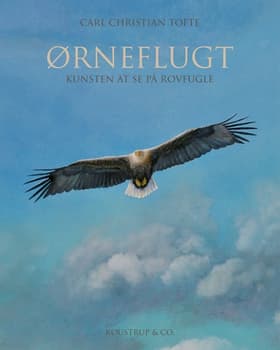 Ørneflugt af Carl Christian Tofte