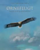 Ørneflugt