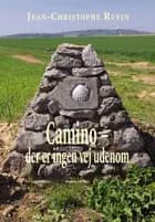 Camino. Der er ingen vej udenom - Rejsebog af Jean-Christophe Rufin