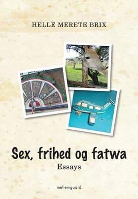 Sex, frihed og fatwa af Jens Eichler Lorenzen