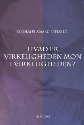 Hvad er virkeligheden mon i virkeligheden? af Nikolaj Pilgaard Petersen