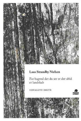 For bagved det du ser er der altid et landskab af Laus Strandby Nielsen