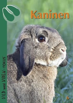 Kaninen af Pernille Willert Hansen