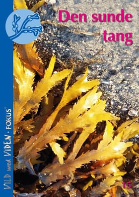 Den sunde tang af Susan L. Holdt