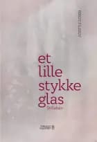 Et lille stykke glas