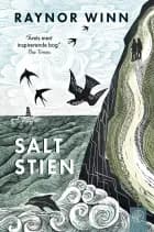 Saltstien