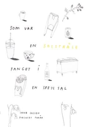 Som var en solstråle fanget i en spejlsal af Jacob Lassen