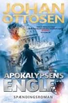Apokalypsens engle- thriller #2 i Mirrin Bank-trilogien