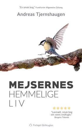 Mejsernes hemmelige liv af Andreas Tjernshaugen