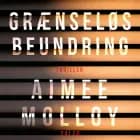 Grænseløs beundring