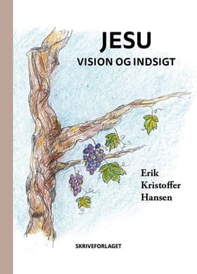 Jesu vision og indsigt af Erik Kristoffer Hansen