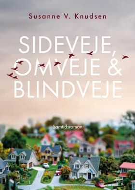 Sideveje, omveje & blindveje af Susanne V. Knudsen