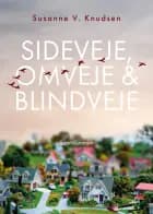 Sideveje, omveje & blindveje