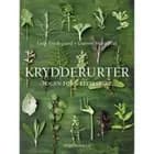 Krydderurter