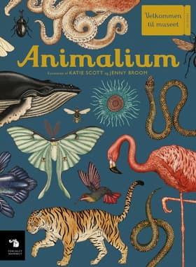Animalium af Katie Scott