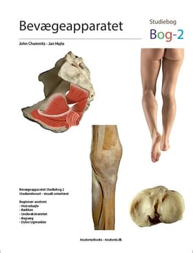 Bevægeapparatet - Bog2 af Lars Kruse