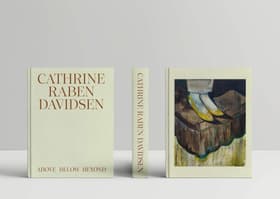 Above Below Beyond af Cathrine Raben Davidsen