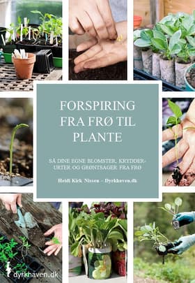 Forspiring fra frø til plante af Heidi Kirk Nissen