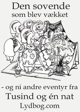 Den Sovende som blev vækket - og ni andre eventyr fra Tusind og en Nat af Johannes Østrup