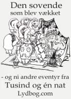Den Sovende som blev vækket - og ni andre eventyr fra Tusind og en Nat