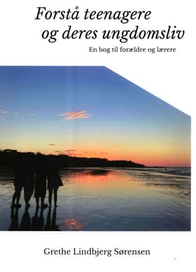 Forstå teenagere og deres ungdomsliv af Grethe Lindbjerg Sørensen
