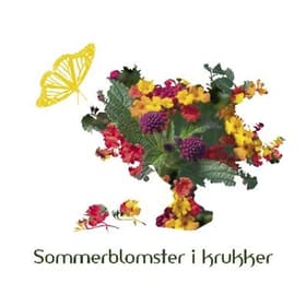 Sommerblomster i krukker af Landskabsarkitekt Mette Østergaard