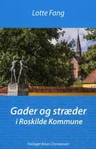 Gader og stræder - i Roskilde Kommune