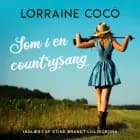 Som i en countrysang