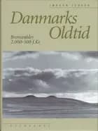 Danmarks oldtid bd. 2