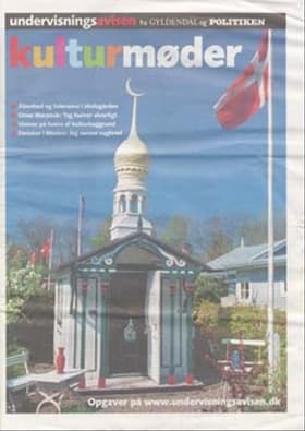 Kulturmøder af Maja Plesner