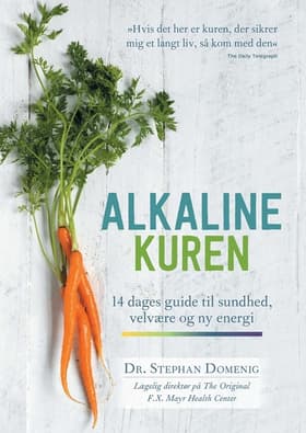 Alkaline kuren af Stephan Domenig