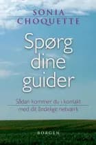 Spørg dine guider