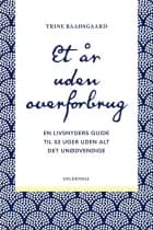 Et år uden overforbrug