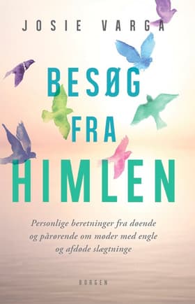 Besøg fra himlen af Josie Varga