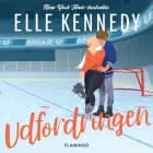 Udfordringen