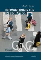 Hvad vi ved om indvandring og integration