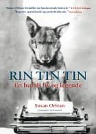 Rin Tin Tin