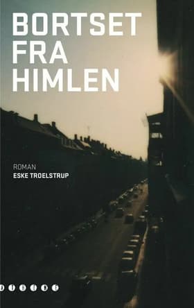 Bortset fra himlen af Eske Troelstrup