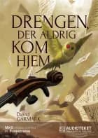 Drengen, der aldrig kom hjem