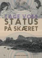 Status på skæret