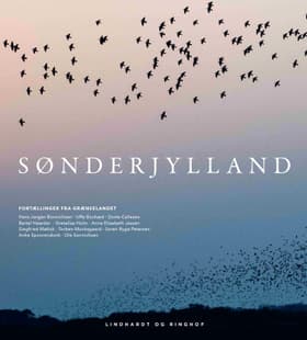 Sønderjylland af Diverse