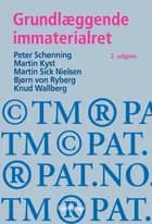 Grundlæggende immaterialret
