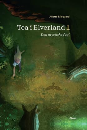 Den mystiske fugl af Anette Ellegaard