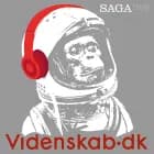 Videnskab.dk #4 - Forskere er bange for sex