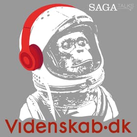 Rumfartens vildeste højdepunkter af Videnskab.dk