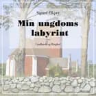 Min ungdoms labyrint