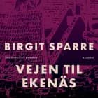Vejen til Ekenäs